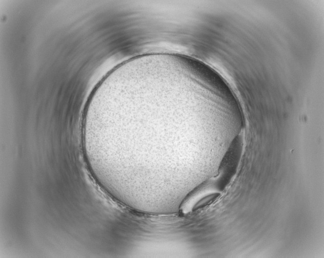 X0000087031008200705071530