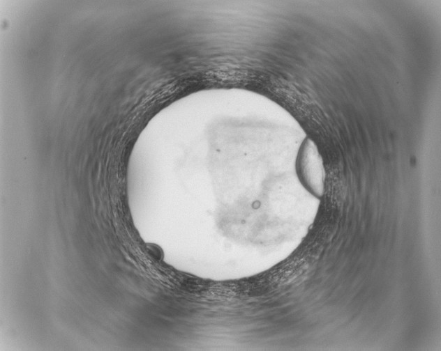 X0000087031009200705071529