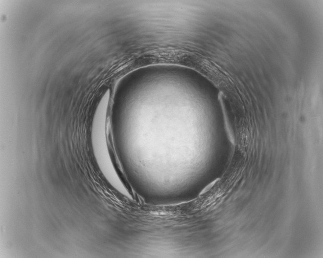 X0000087031010200705071529