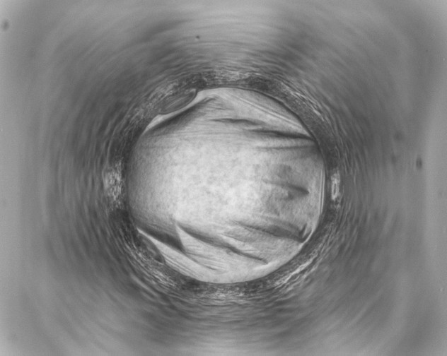 X0000087031011200705071529