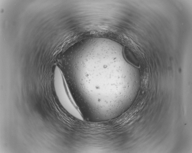 X0000087031012200705071529