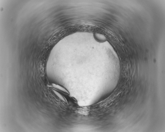 X0000087031013200705071529