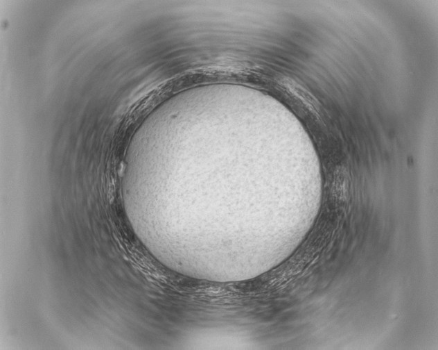 X0000087031015200705071529