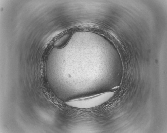 X0000087031016200705071529