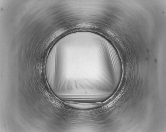 X0000087031017200705071529