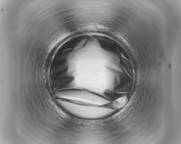 X0000087031018200705071529