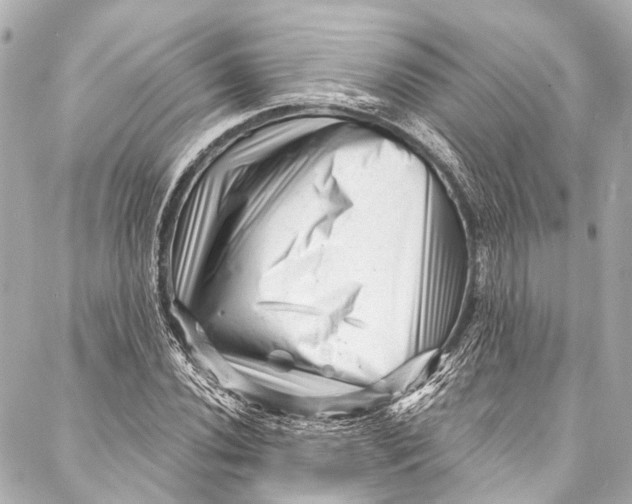 X0000087031020200705071529