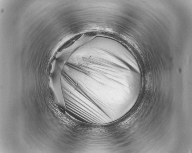 X0000087031021200705071529