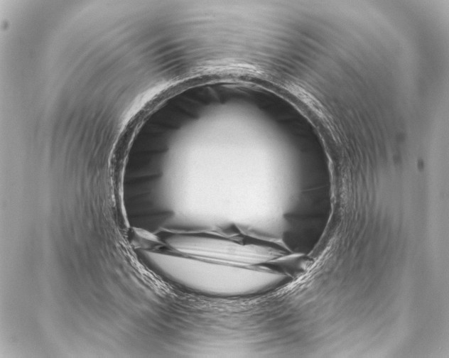 X0000087031022200705071529