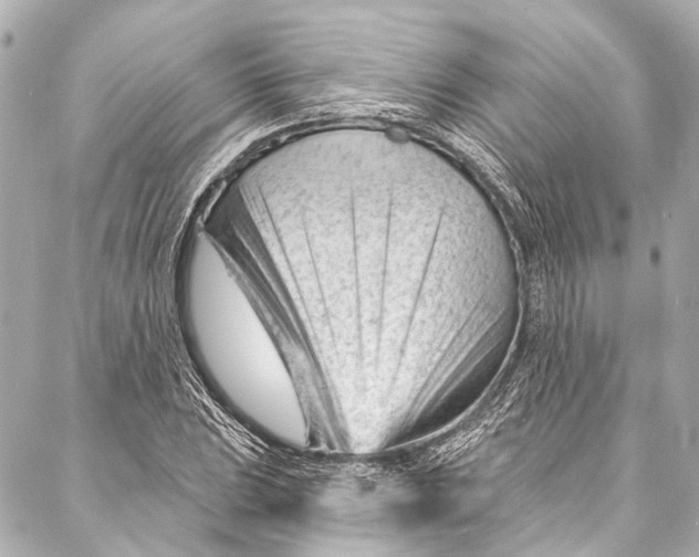 X0000087031023200705071529