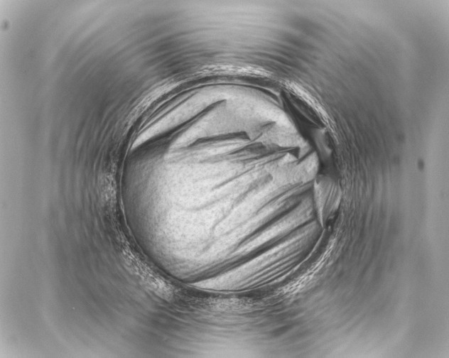 X0000087031025200705071529