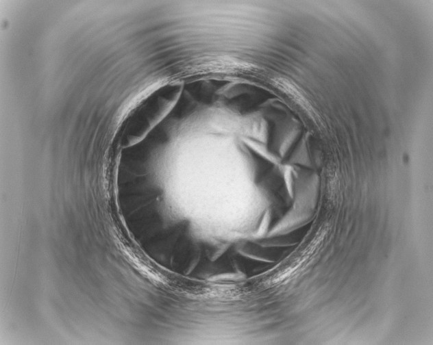 X0000087031026200705071529