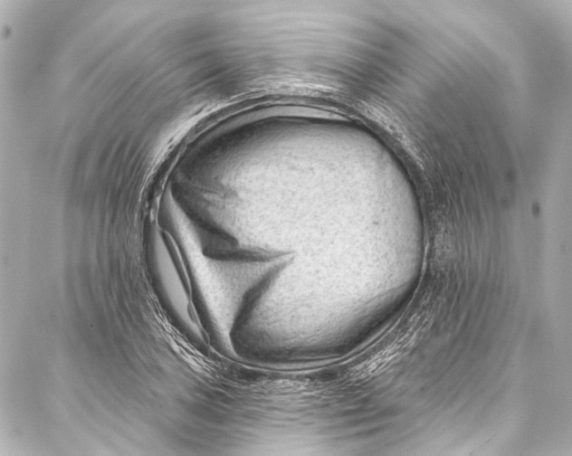 X0000087031027200705071529