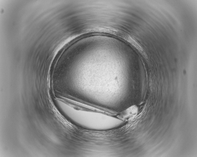 X0000087031028200705071529