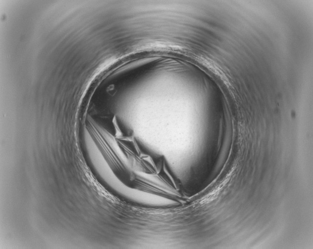 X0000087031029200705071529