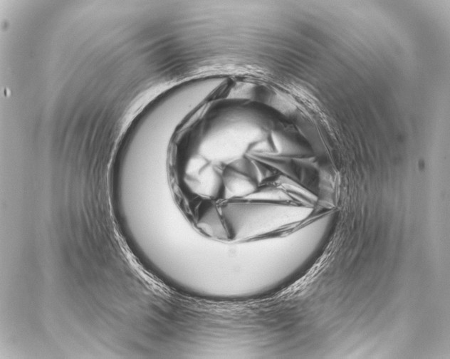 X0000087031030200705071529