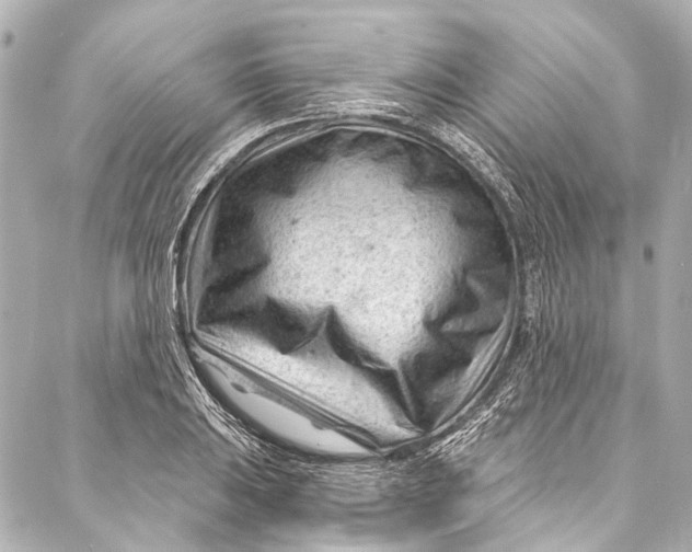 X0000087031031200705071529