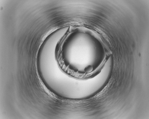 X0000087031034200705071529