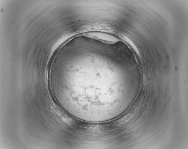 X0000087031035200705071529