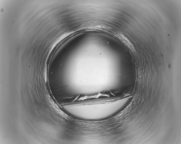 X0000087031036200705071529