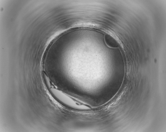 X0000087031037200705071529