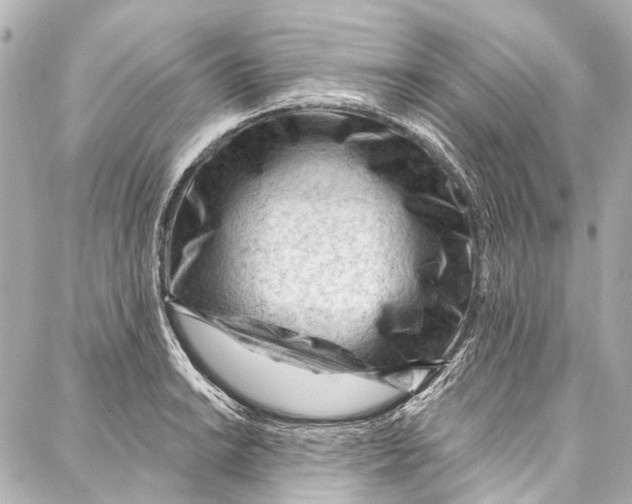 X0000087031038200705071529