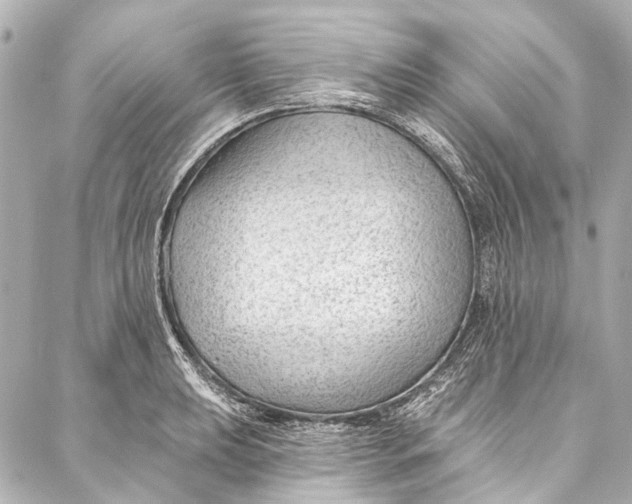 X0000087031039200705071529