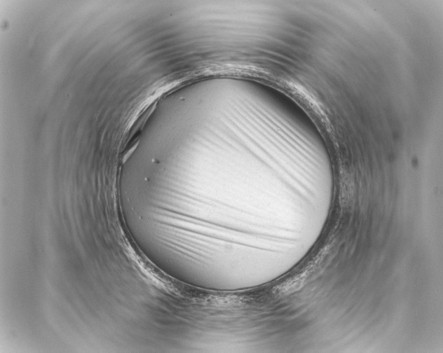 X0000087031041200705071529