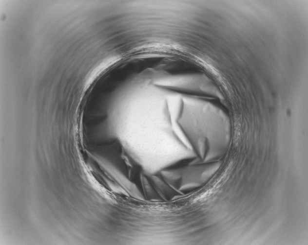 X0000087031042200705071529