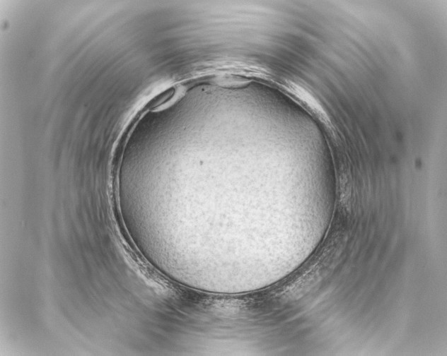 X0000087031043200705071529