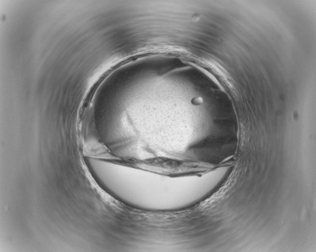 X0000087031046200705071529