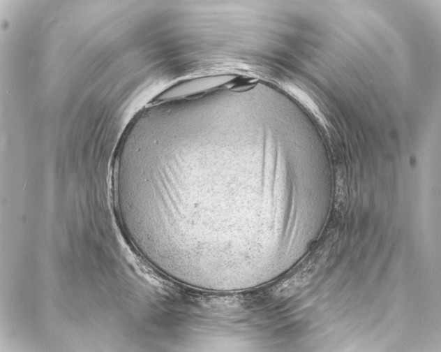 X0000087031047200705071529