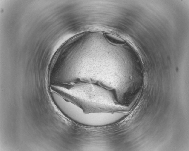 X0000087031048200705071529