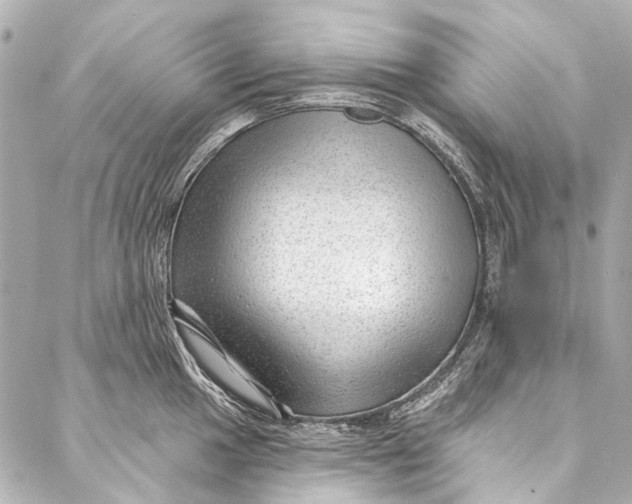 X0000087031049200705071529