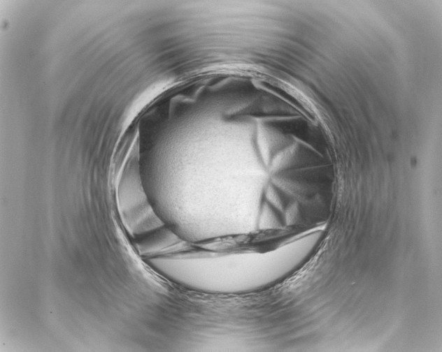 X0000087031050200705071530