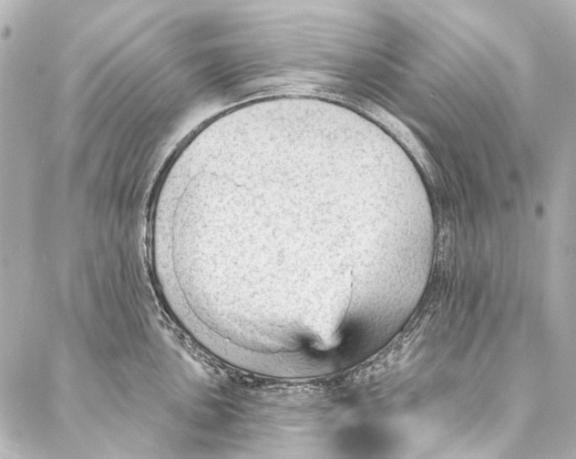 X0000087031051200705071530