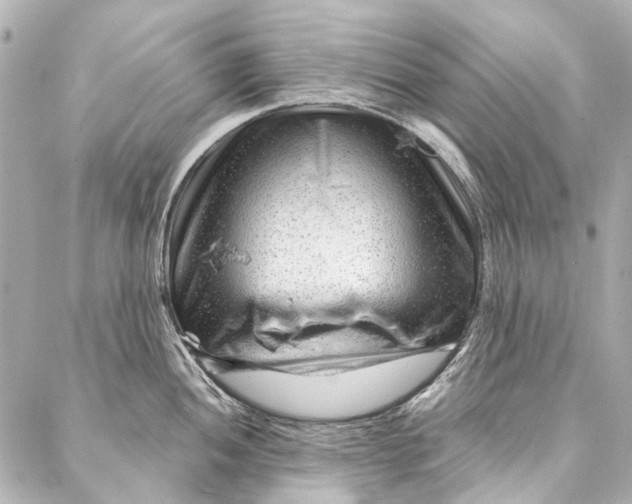 X0000087031052200705071530