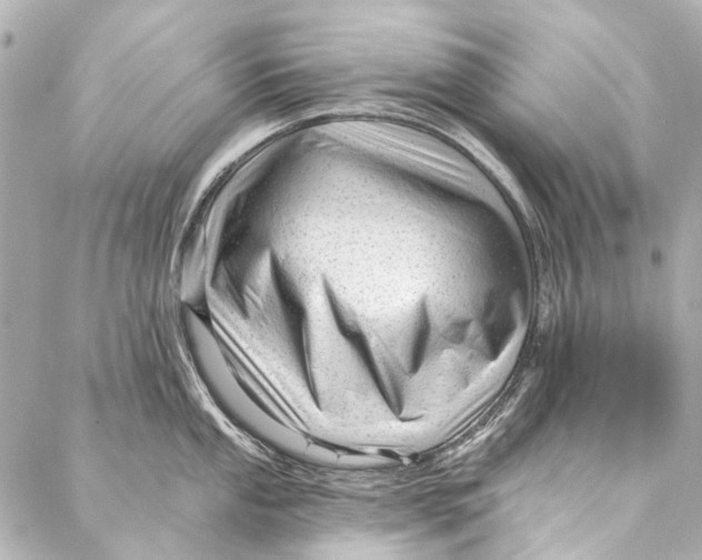 X0000087031053200705071530