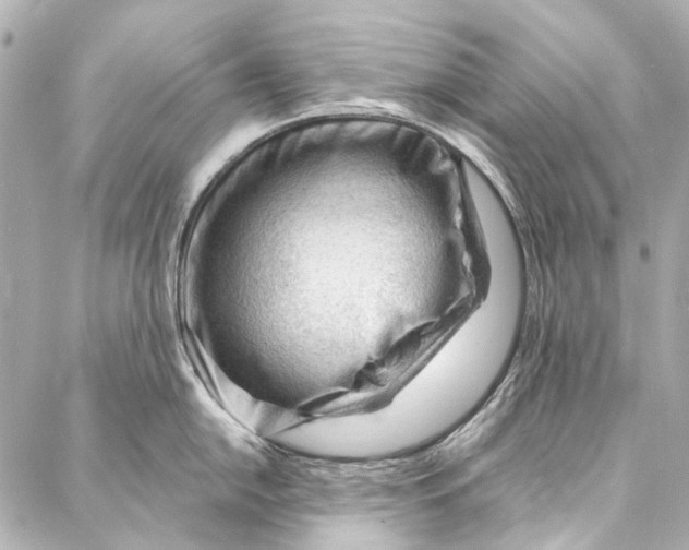 X0000087031054200705071530