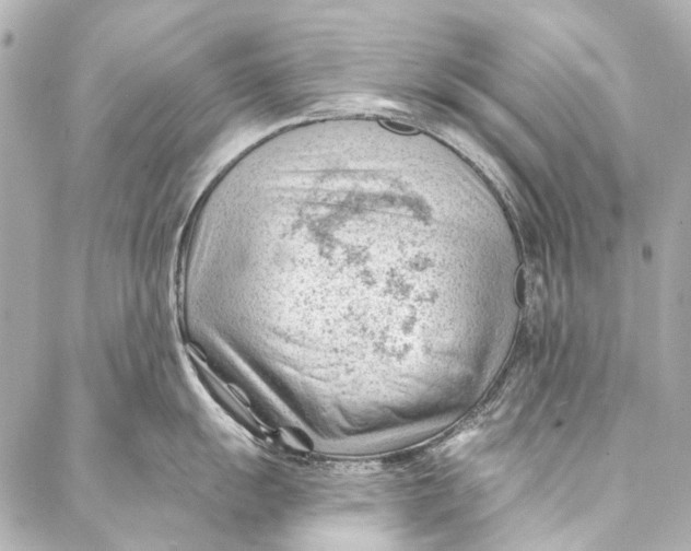 X0000087031055200705071530