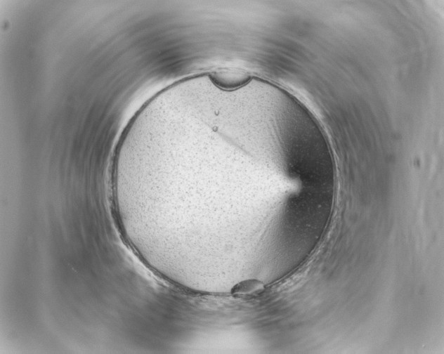 X0000087031056200705071530