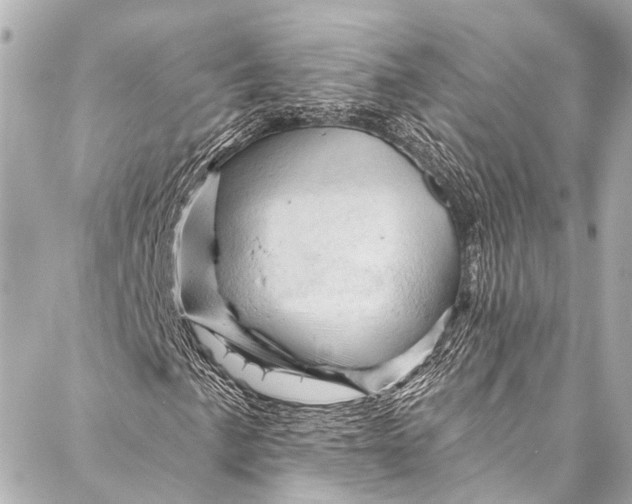 X0000087031057200705071529