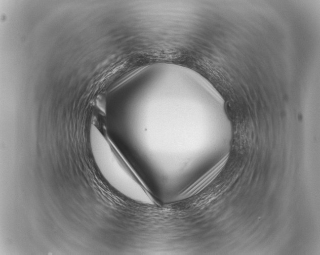 X0000087031058200705071529