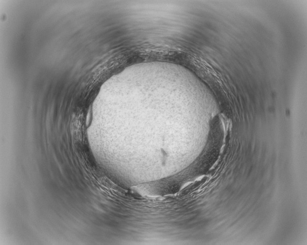 X0000087031059200705071529