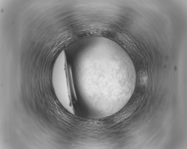 X0000087031060200705071529