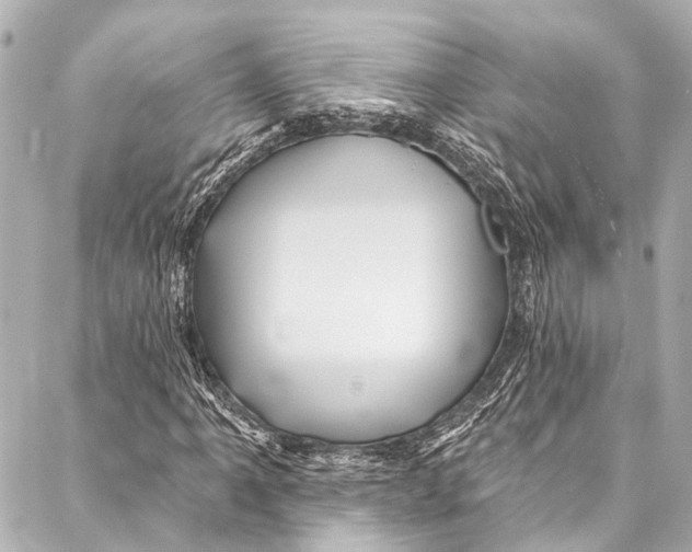 X0000087031061200705071529