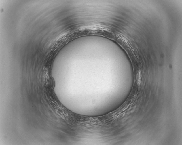 X0000087031062200705071529