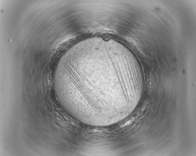 X0000087031063200705071529