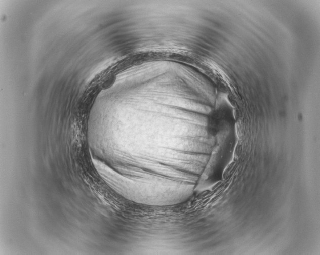 X0000087031064200705071529