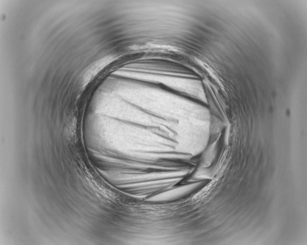 X0000087031066200705071529